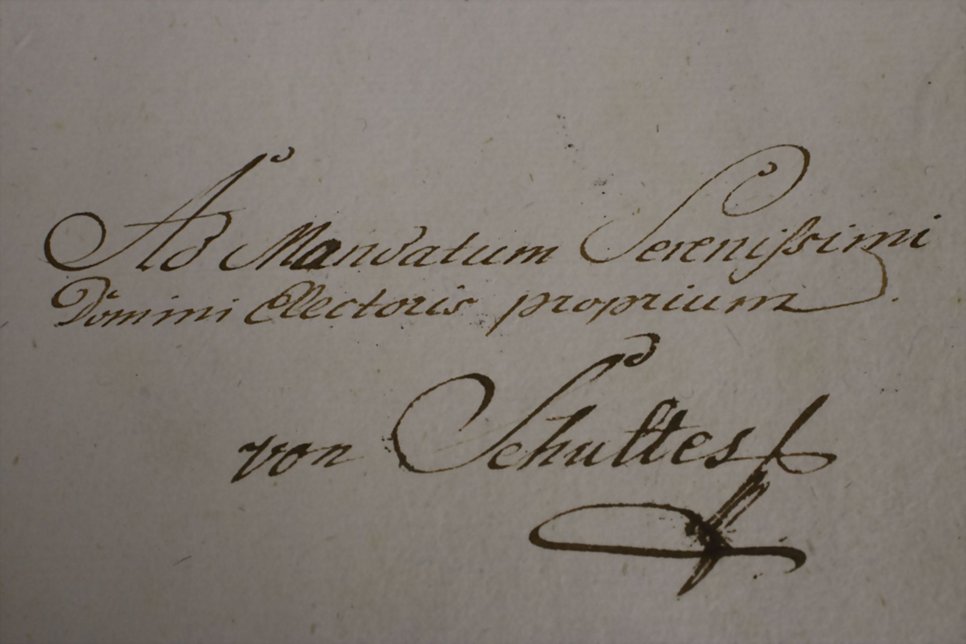 Dokumente mit Autographen Karl Theodor von Bayern (1724-1799) - Bild 3 aus 5