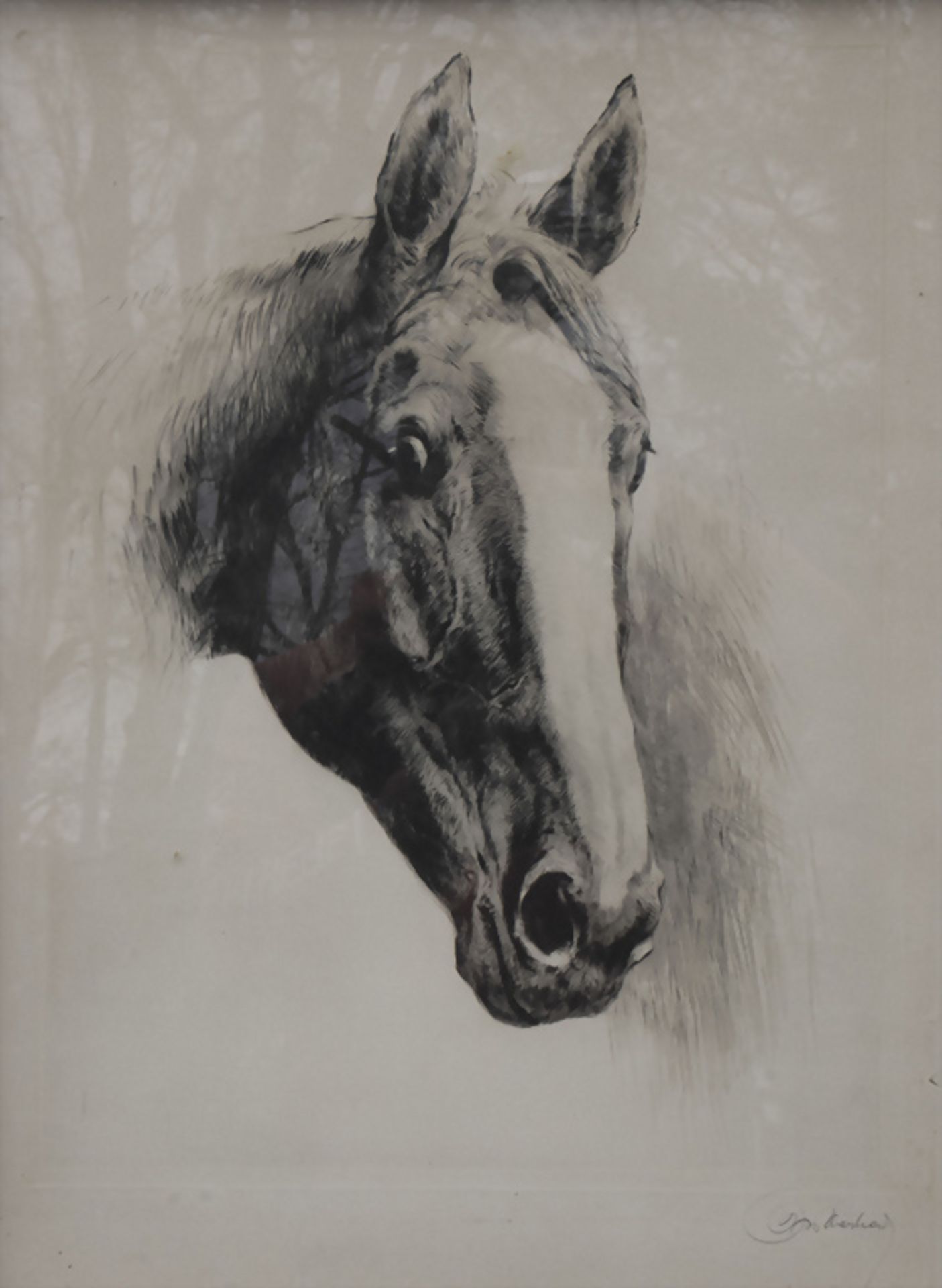 Kurt MEYER-EBERHARDT (1895-1977), 'Lauschender Pferdekopf' / 'Listening horse head', 20. Jh.