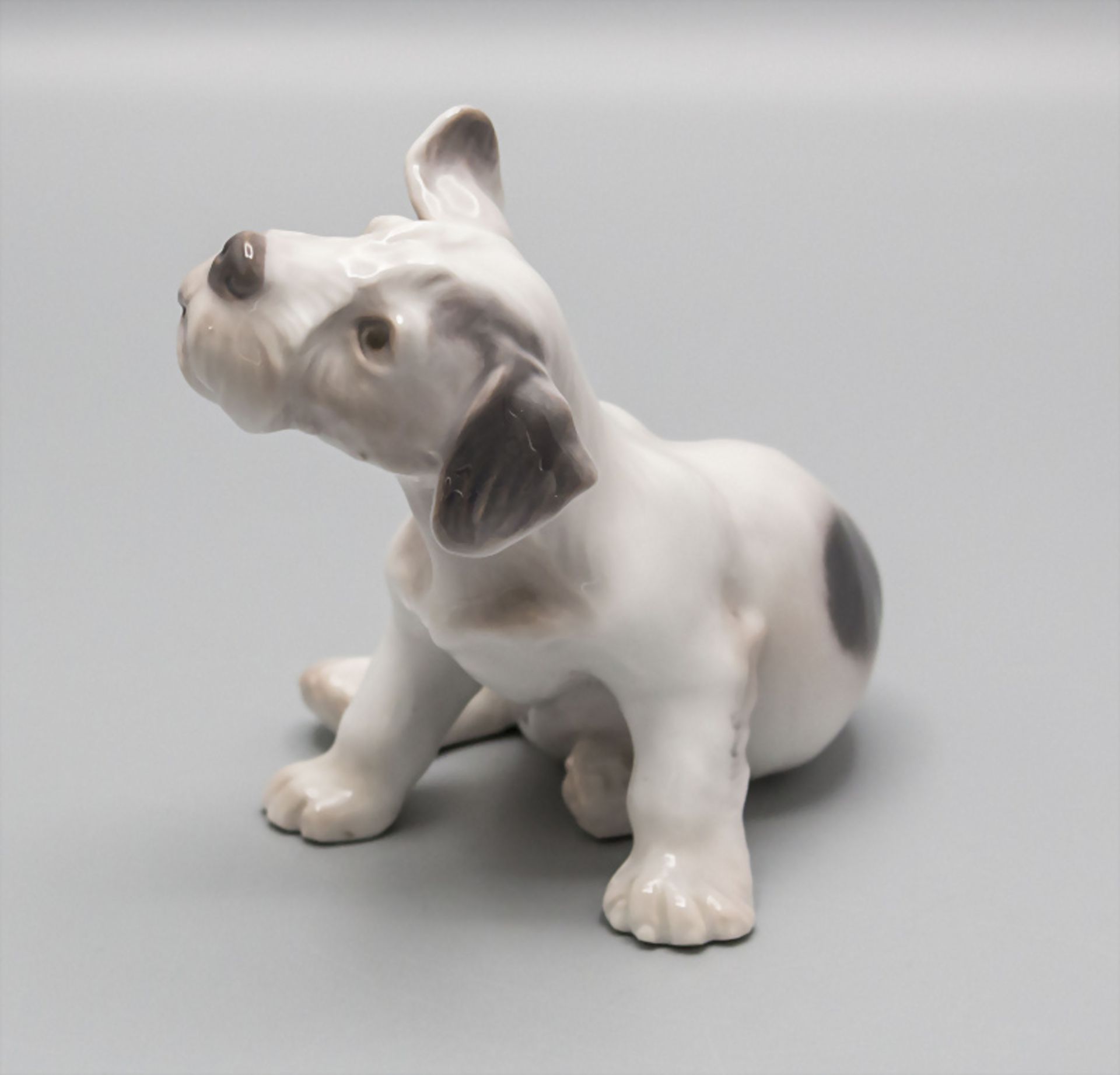 Sealyham Terrier Welpe / A Sealyham puppy, Bing & Gröndahl, Kopenhagen, 20. Jh. - Image 2 of 5