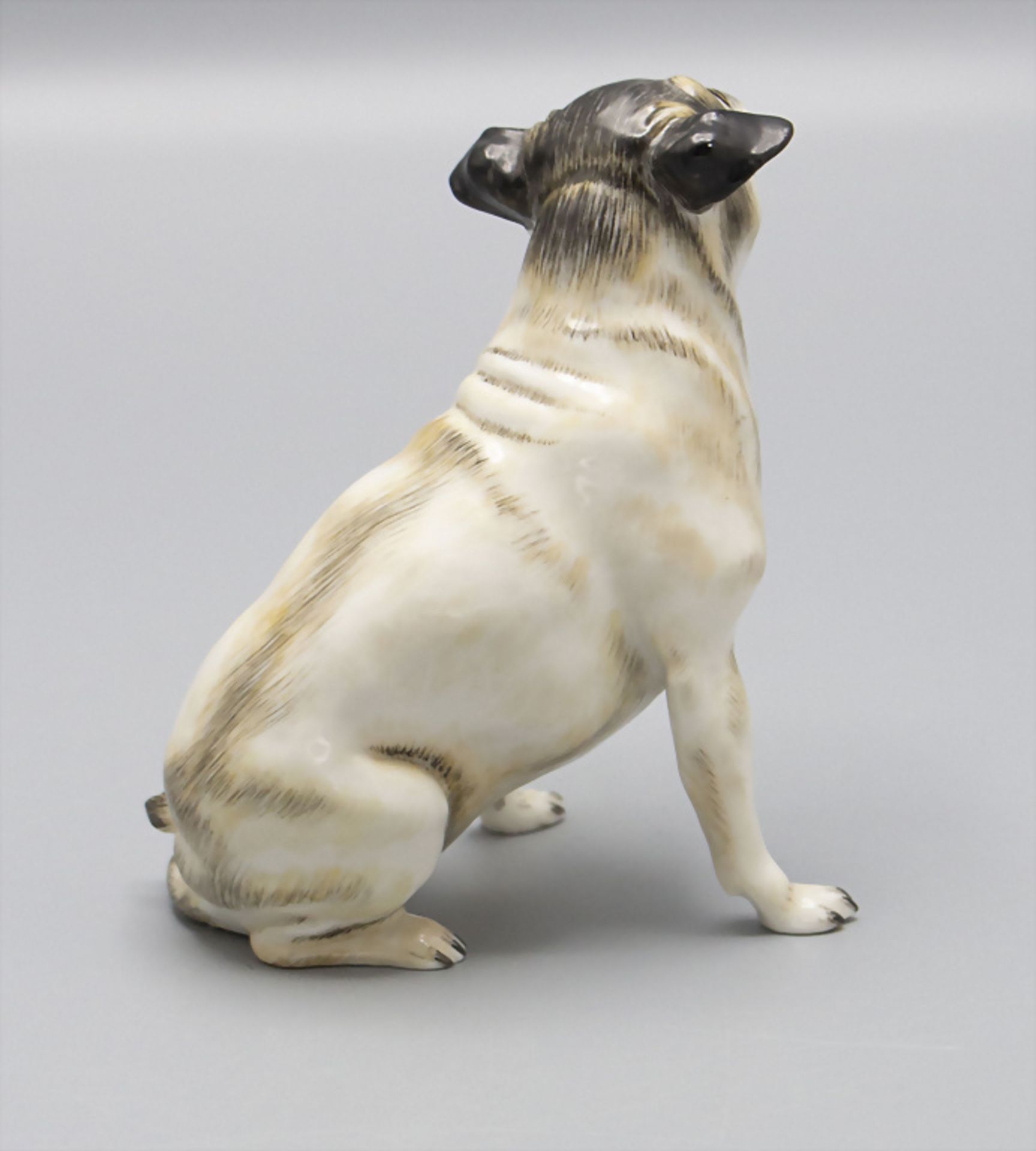 Sitzender Mops mit eigenwilligem Blick / A sitting pug dog, Nymphenburg, 1929 - Image 4 of 6