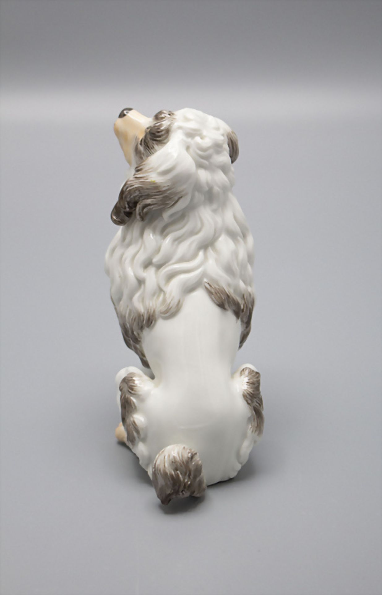 Sitzender Pudel / A sitting poodle, Johann Daniel Schöne, Meissen, 2. Hälfte 20. Jh. - Bild 3 aus 5