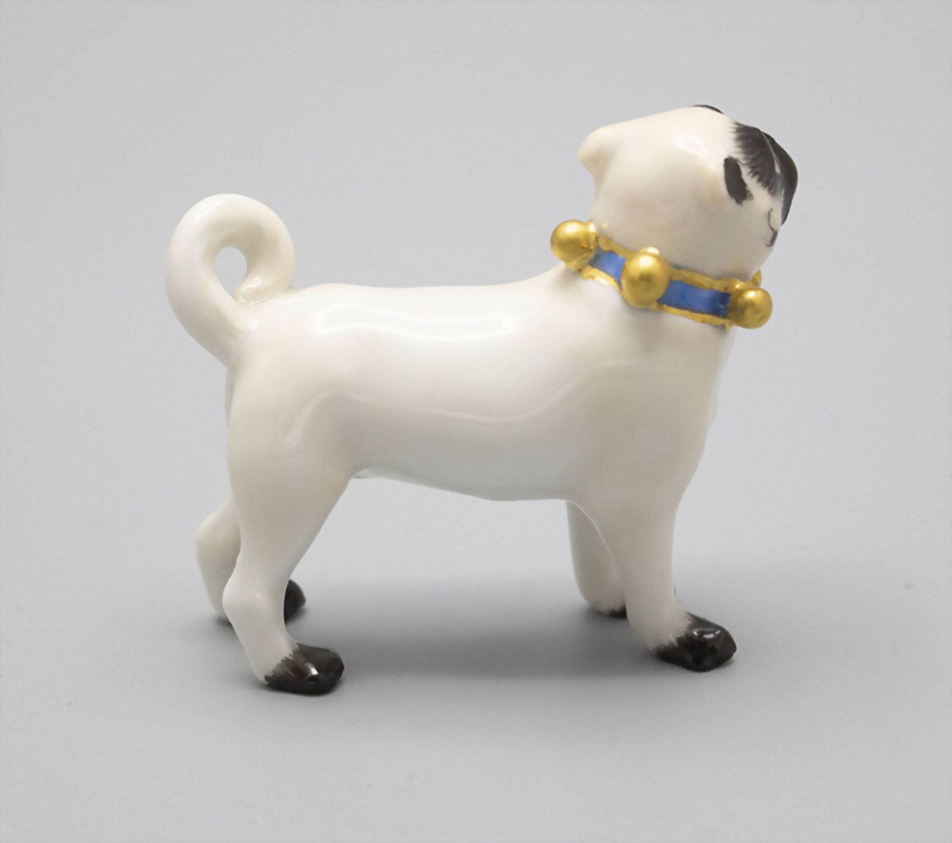 Mops mit blauem Halsband / A pug dog with a blue collar, Meissen, Mitte 20. Jh. - Image 2 of 3
