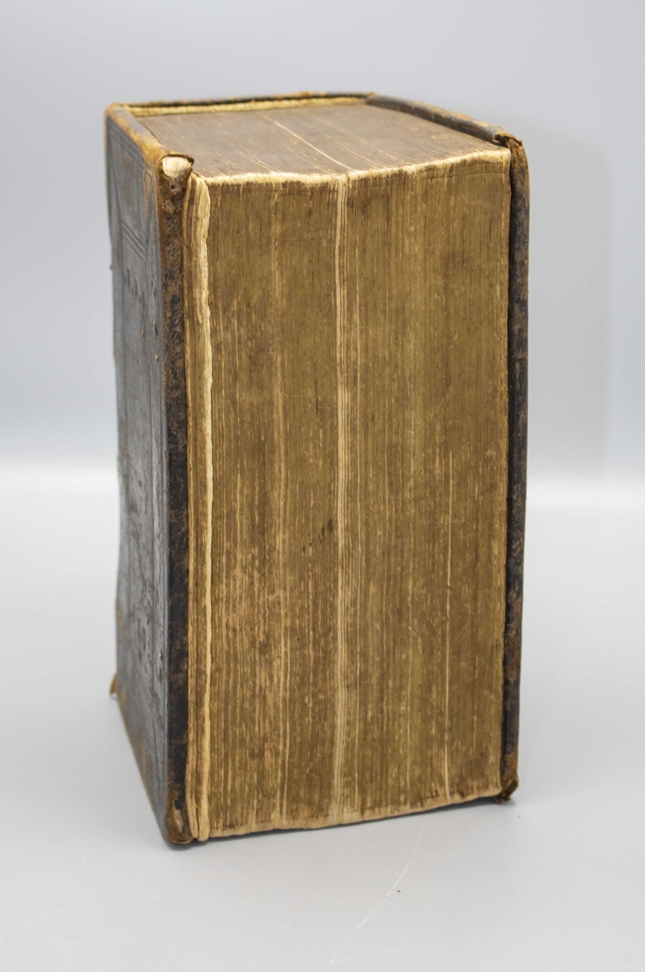 Bibel / A bible 'Biblia Sacra', Altes und neues Testament in Luther-Übersetzung, 1665 - Image 7 of 9