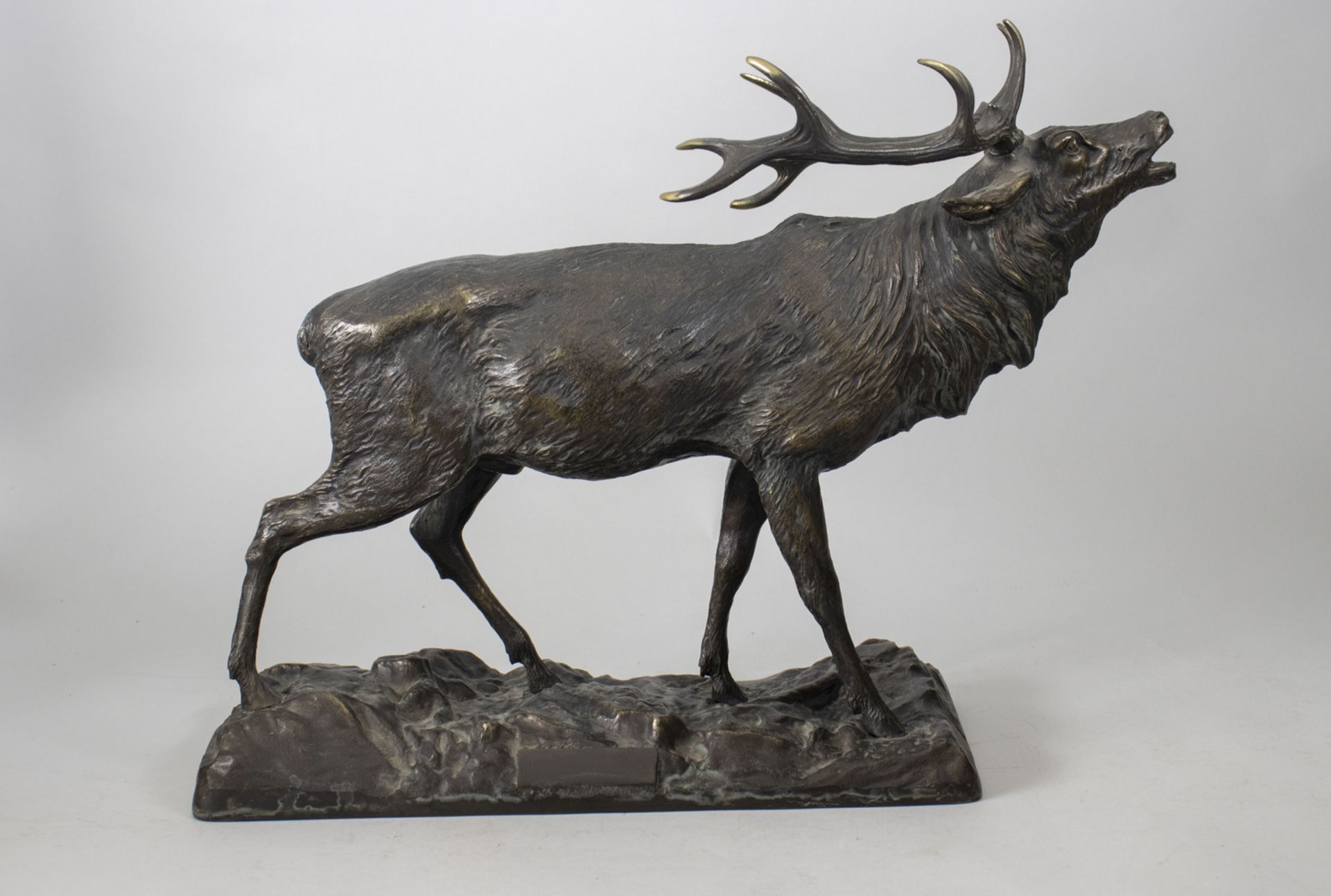 'Röhrender Hirsch' / 'A bronze sculptur of a roaring deer', um 1900