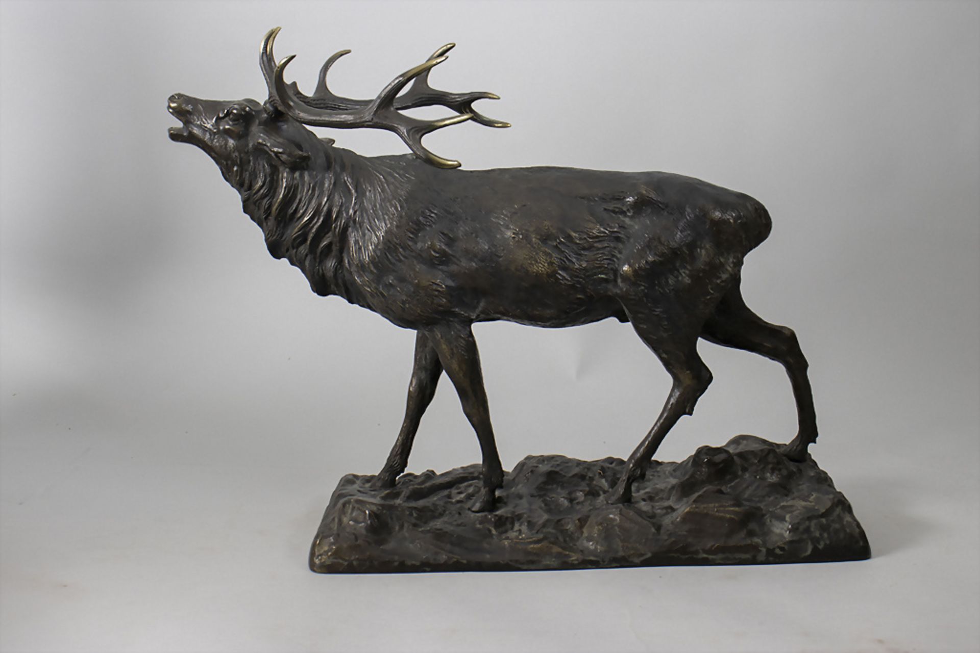 'Röhrender Hirsch' / 'A bronze sculptur of a roaring deer', um 1900 - Image 3 of 4