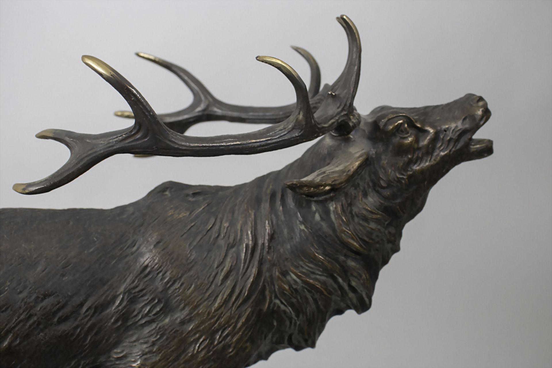 'Röhrender Hirsch' / 'A bronze sculptur of a roaring deer', um 1900 - Image 2 of 4