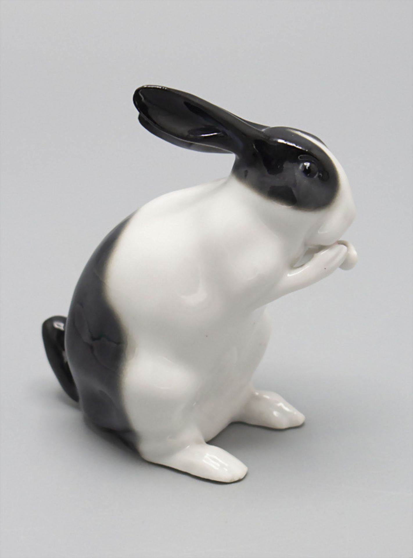 Knabberndes Kaninchen / A nibbling rabbit, E. Pfeffer, Gotha, um 1925