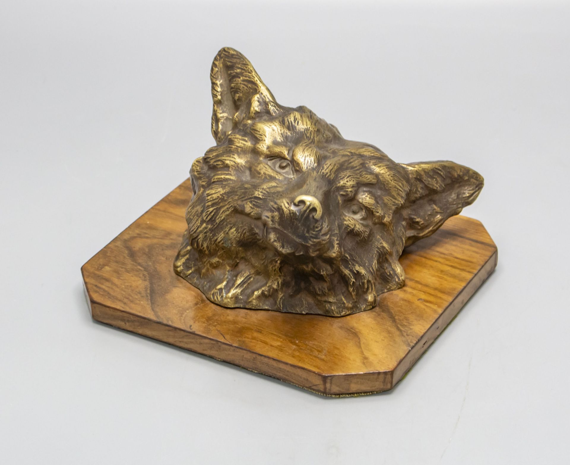 Bronze Fuchskopf / A bronze head of a fox, um 1900