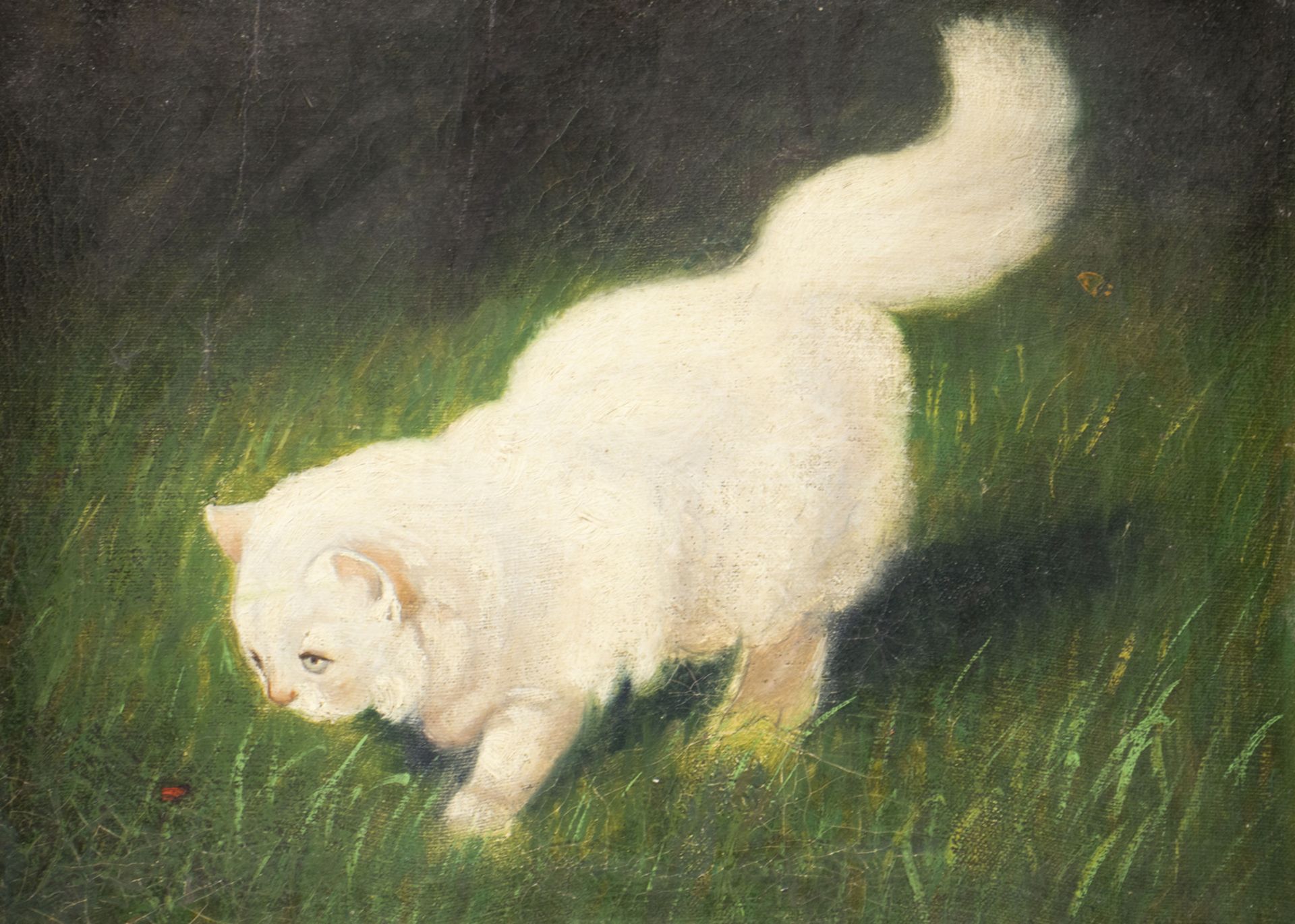 Arthur HEYER (1872 Haarhausen-1931 Budapest), 'Angorakatze mit Schmetterling' / 'An Angora cat ...