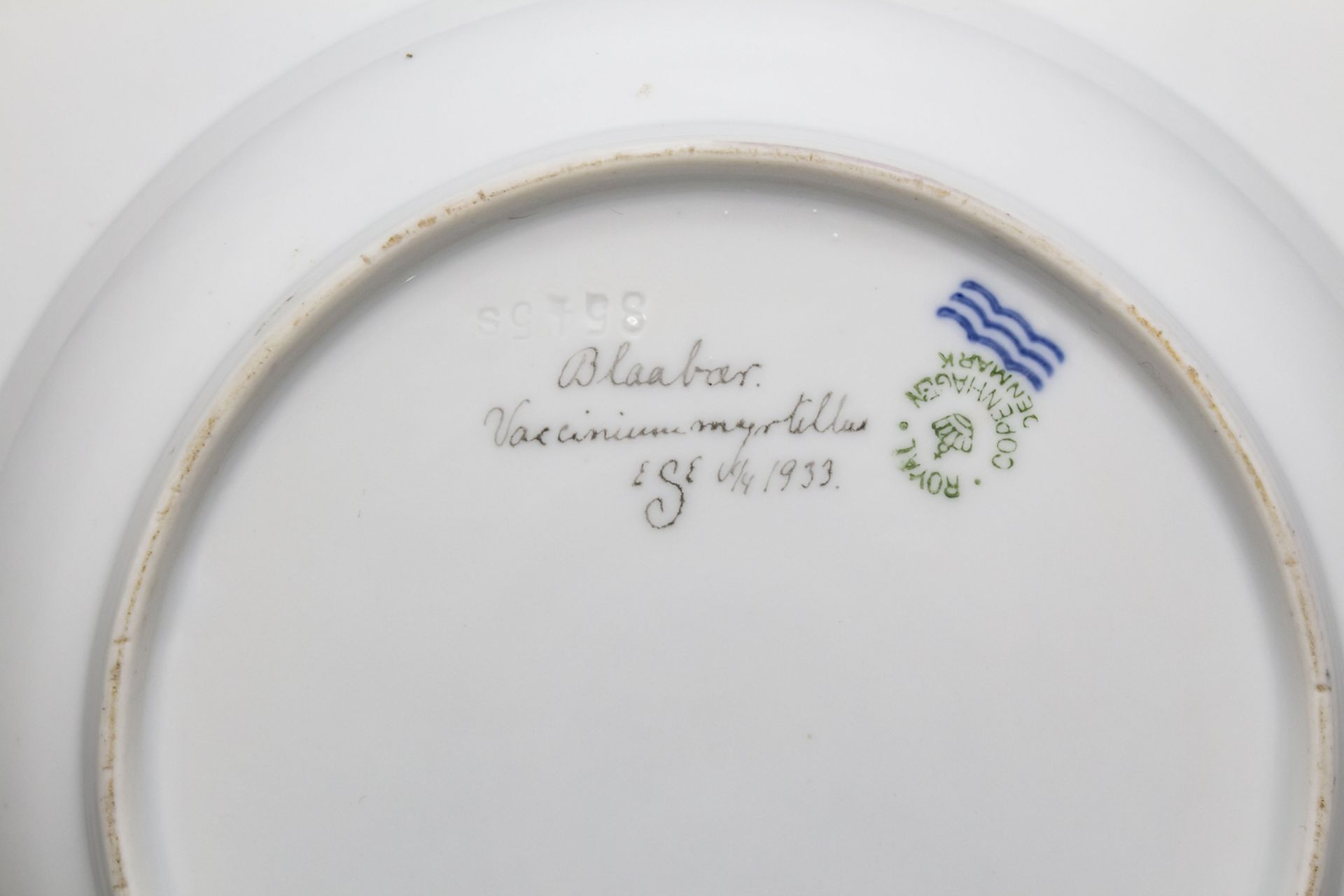 Teller mit Stachelbeerzweig / A plate with a gooseberry branch, Flora Danica, Royal ... - Image 4 of 4