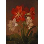 Adolf Kretschmer, Amaryllis