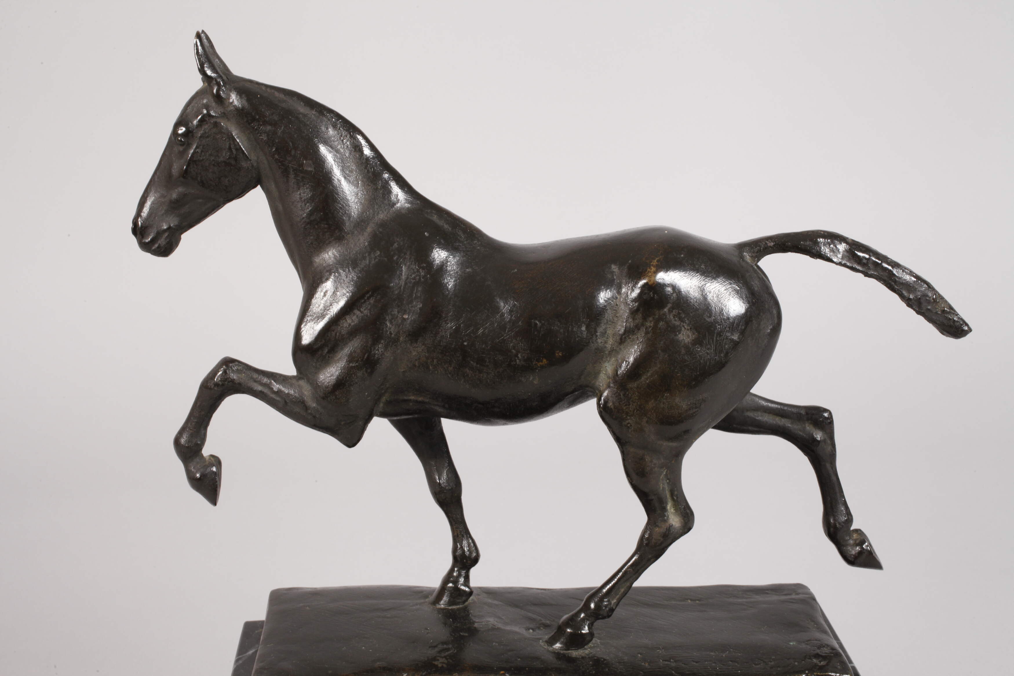 Karl Heynen-Dumont, gaited horse - Image 3 of 6