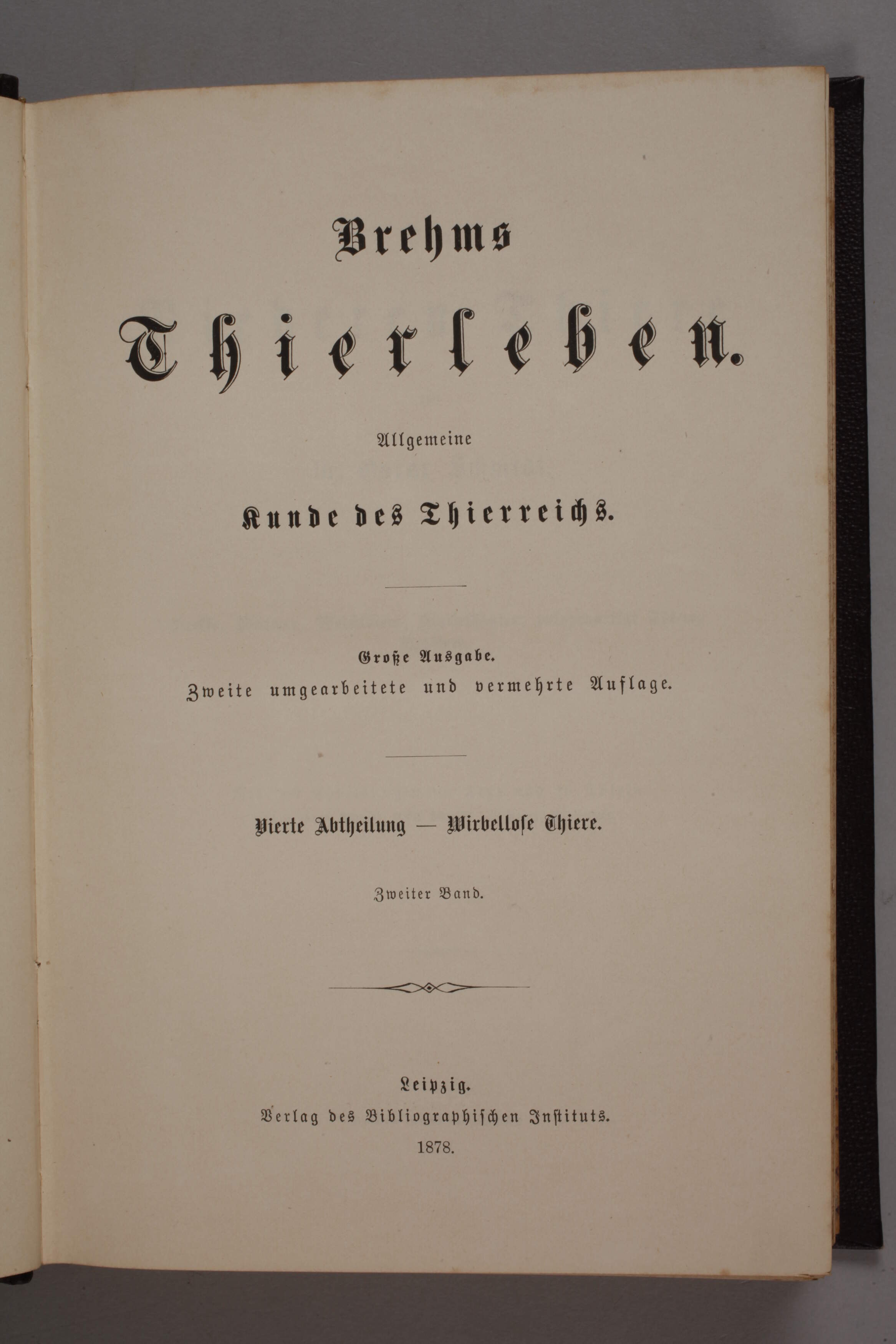 Ten volumes of Brehms Thierleben - Image 3 of 6