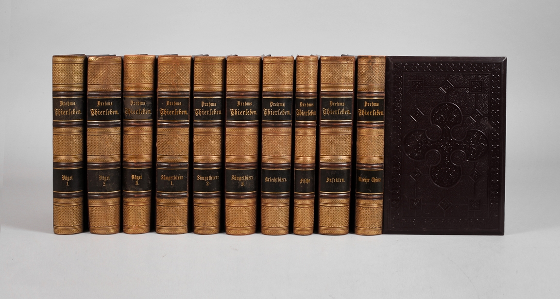 Ten volumes of Brehms Thierleben