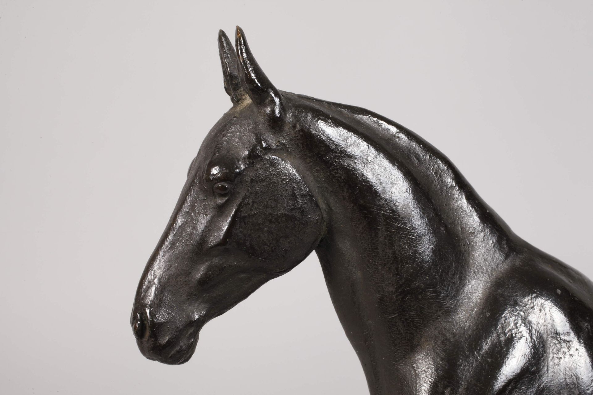 Karl Heynen-Dumont, gaited horse - Image 5 of 6