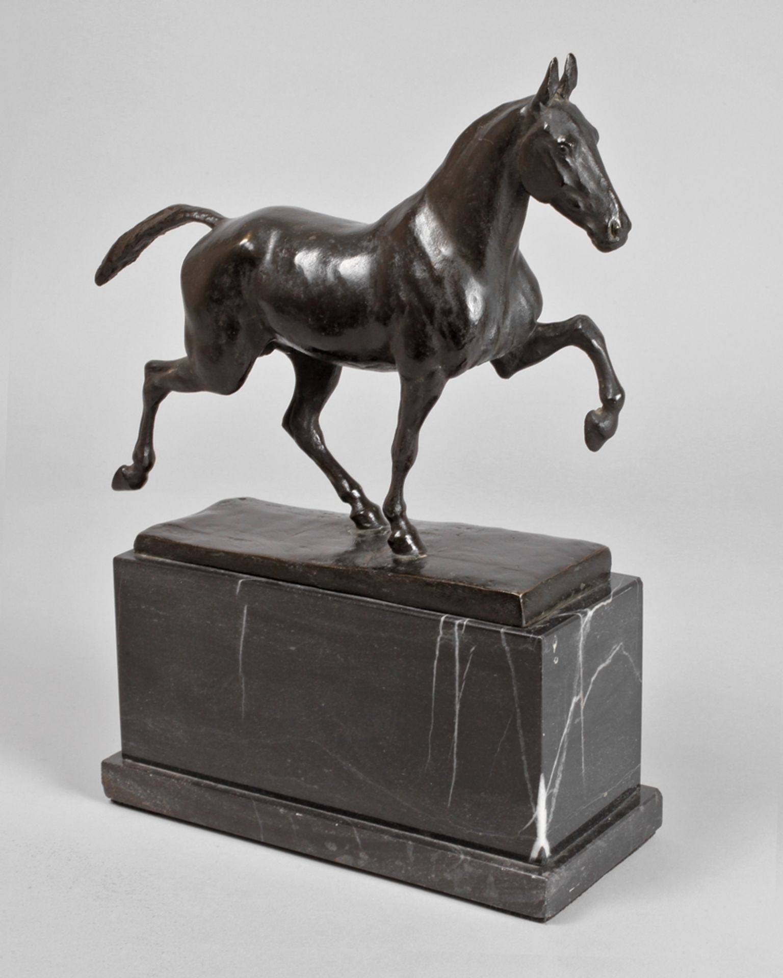 Karl Heynen-Dumont, gaited horse