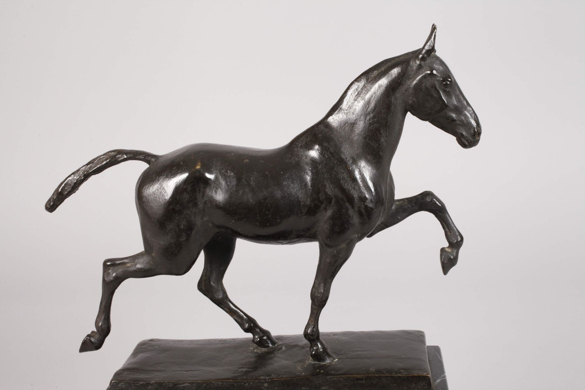 Karl Heynen-Dumont, gaited horse - Image 2 of 6