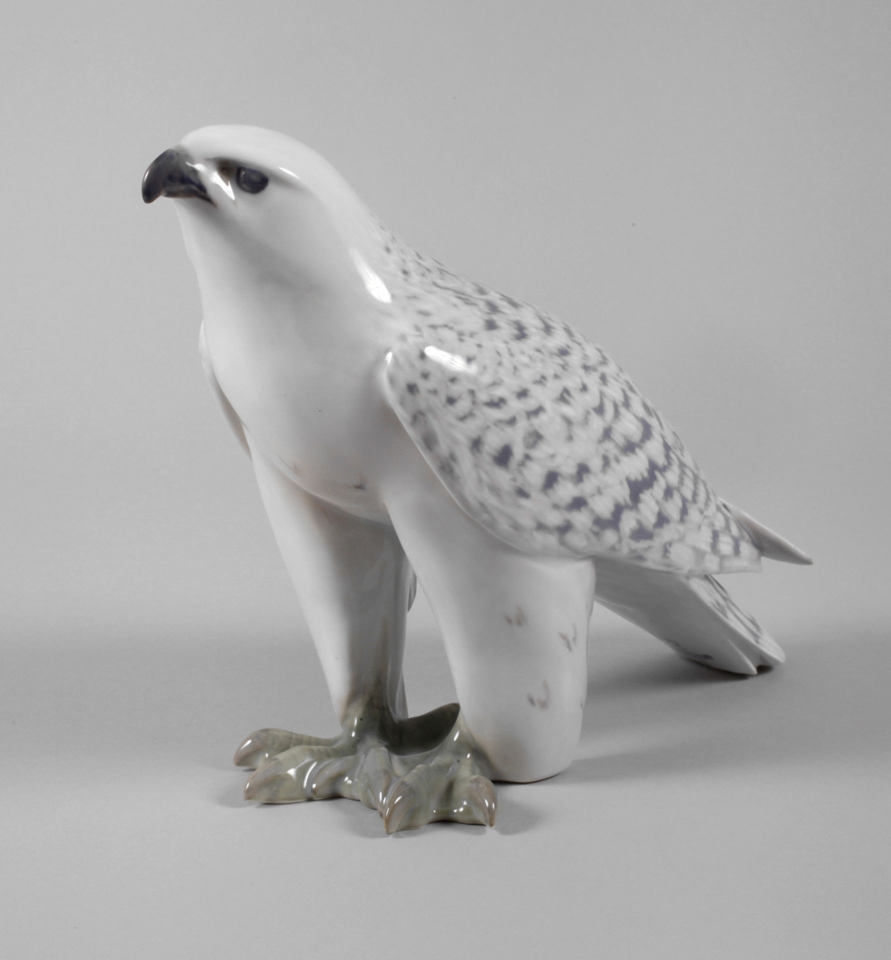 Copenhagen "Icelandic Falcon"