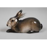 Rosenthal Hase