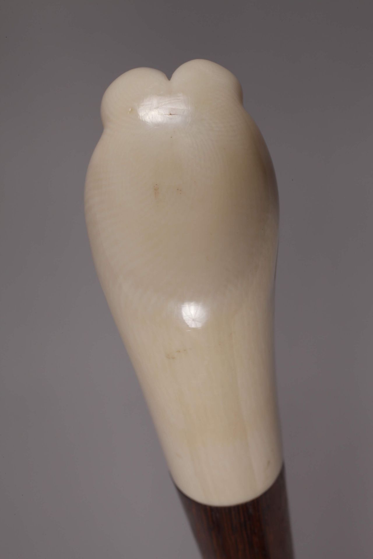 Ivory walking stick - Image 5 of 7