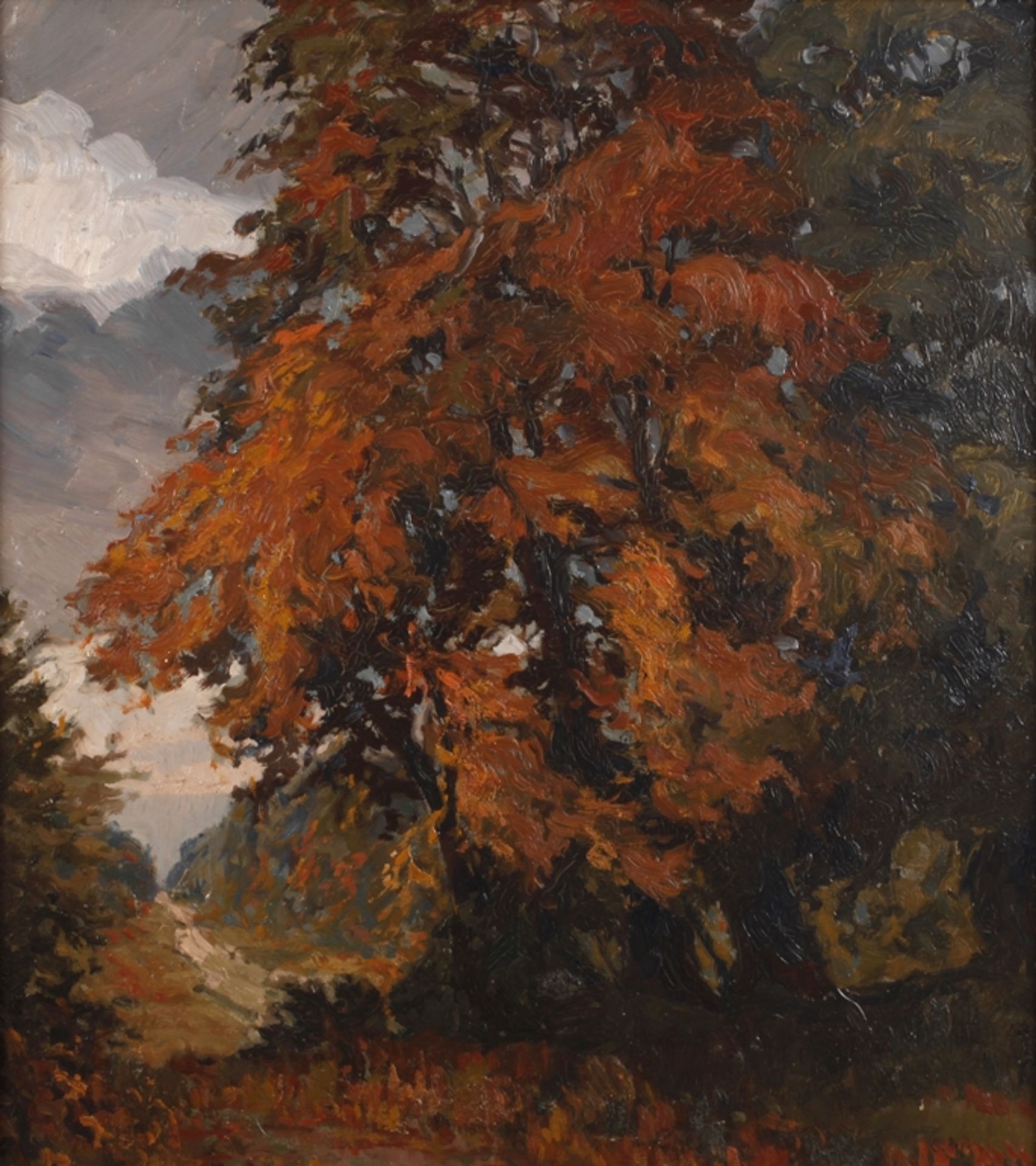 Autumnal group of trees