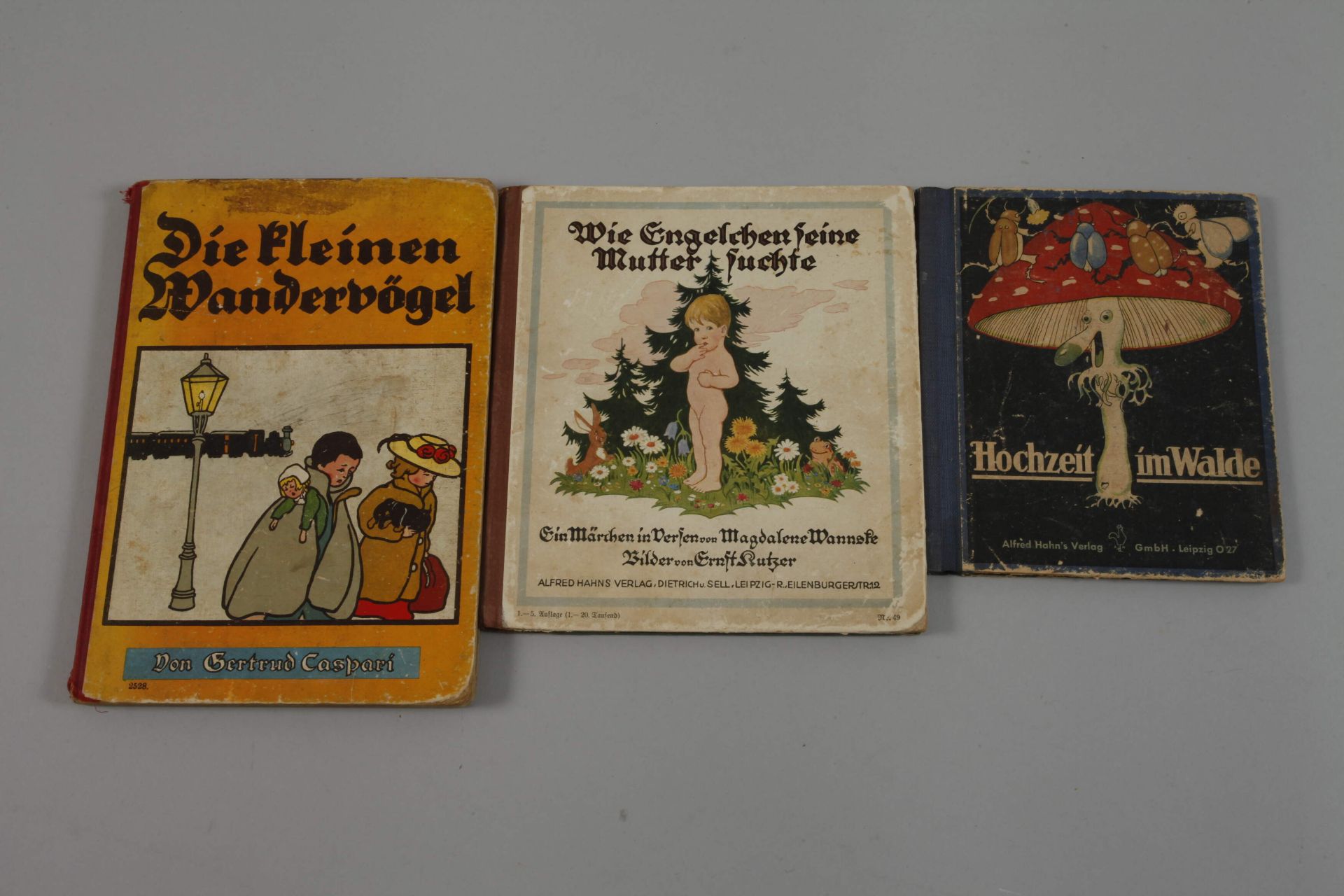 Konvolut Kinderbücher Alfred Hahns Verlag - Bild 3 aus 3