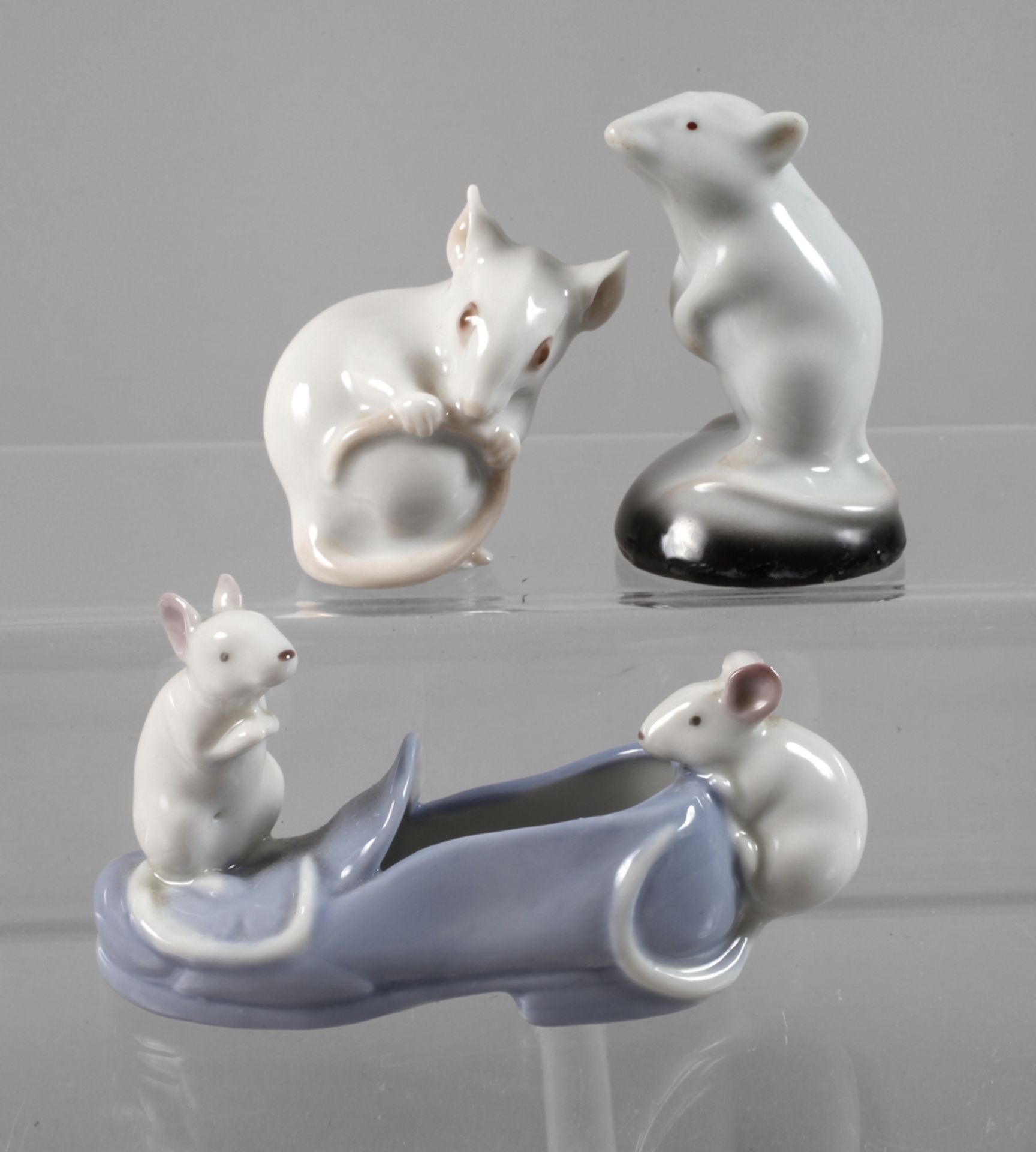 Collection of white mice