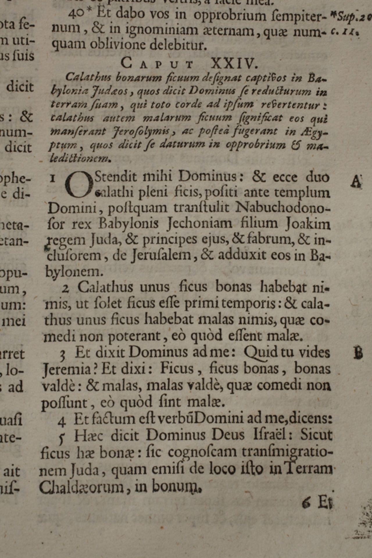 Bibel Bamberg 1693 - Bild 2 aus 6