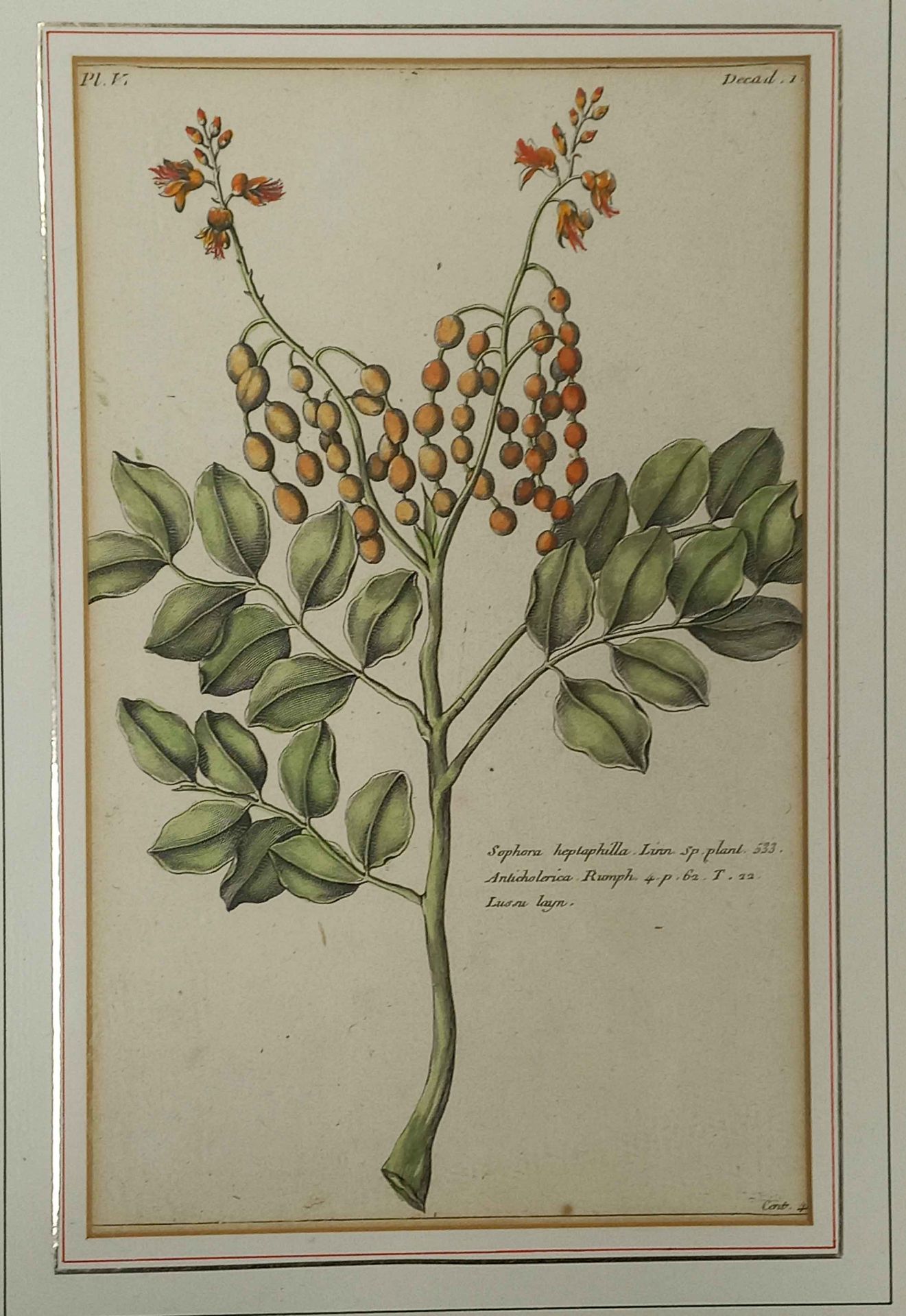 Pierre Joseph BOUHOZ (1731 - 1807). 3 Blatt. - Image 4 of 8