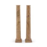 PAIR OF MODELS OF COLUMNS IN ANTIQHE YELLOW MARBLE EARLY 19TH CENTURY