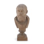 SMALL TERRACOTTA BUST OF SOLON 19TH CENTURY