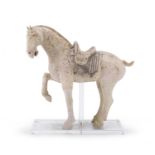 A CHINESE TERRACOTTA SCULPTURE OF HORSE. TANG DINASTY (618 - 907)