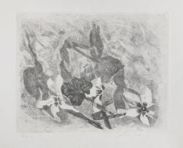 ETCHING BY OTTAVIO PINNA