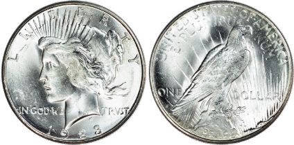 USA, silver Peace Dollar, 1923