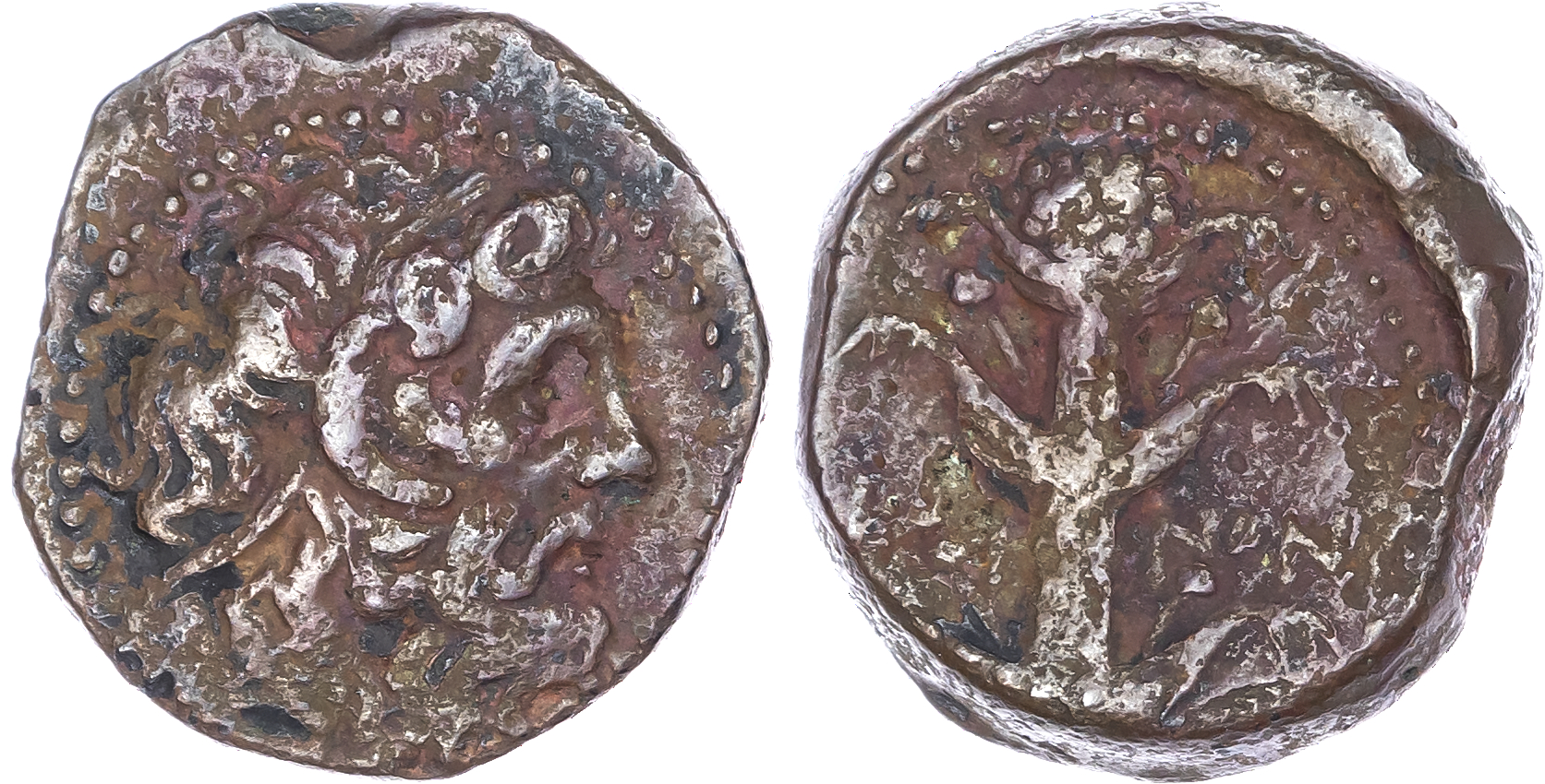 Kyrenaica, Kyrene (c. 250 BC) AE