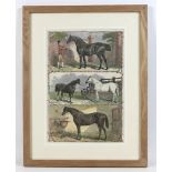 The Illustrated London News, a group of 19th century equestrian studies, each 23 by 34cm, framed