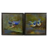 A pair of Edwardian painted tiles, one depicting a kingfisher, the other a pair of blue tits, each