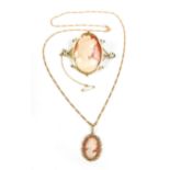 A 9ct gold necklace with 9ct gold cameo pendant, necklace 49cm long, cameo 2 by 2.5cm, 6g gross,