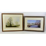 Paul Mann (British, 20th century): oak trees by a river, signed, watercolour, 27 by 37cm, mounted,