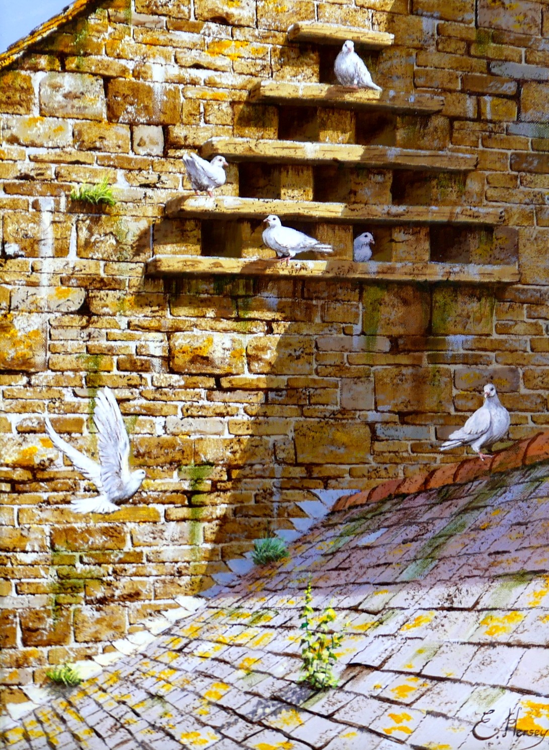 Edward Hersey (British, b. 1948): doves on a roof, signed, oil on canvas, 39.5 by 29cm, framed, 57