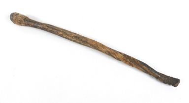 A native sinew club with weighted end, 44cm in length.