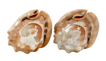 A pair of carved cowry sea shells, probably Victorian, each with an oval carved reserve depicting