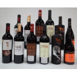 12 BOTTLES CHINESE RED WINE