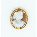 A GOLD MOUNTED OVAL SHELL CAMEO PENDANT BROOCH