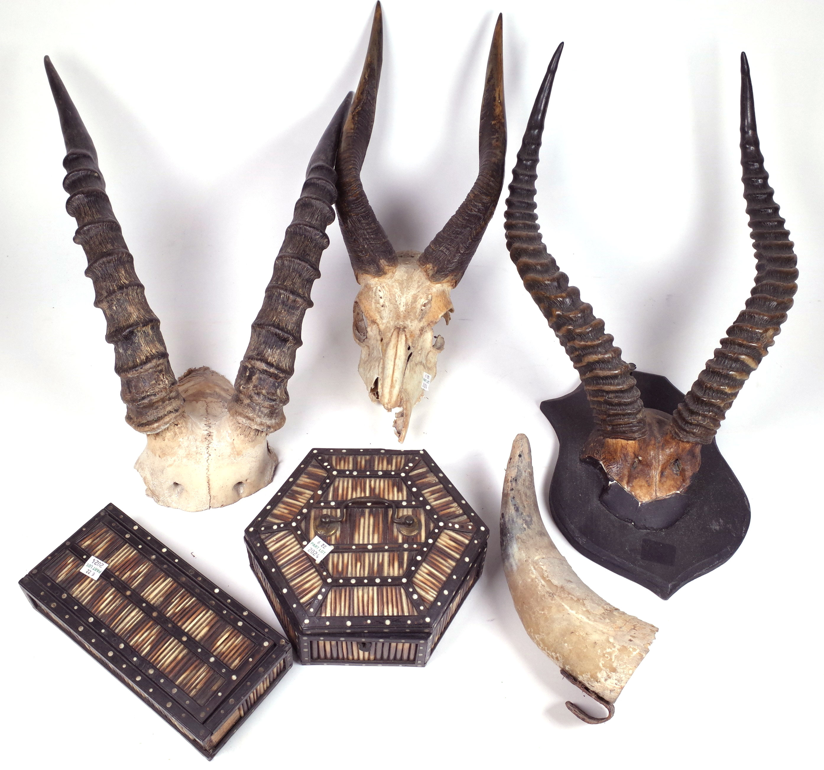 COLLECTABLES INCLUDING, TWO SETS OF MOUNTED HORNS (QTY)