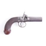 AN ENGLISH PERCUSSION PISTOL BY J. WEBB OF SALISBURY (2)