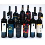 12 BOTTLES MEXICAN RED WINE