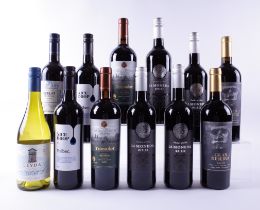 11 BOTTLES CHILEAN RED AND 1 WHITE WINE