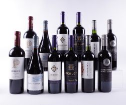 12 BOTTLES CHILEAN RED WINE