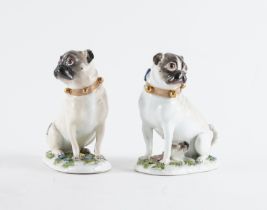 TWO MEISSEN PUG DOGS (2)